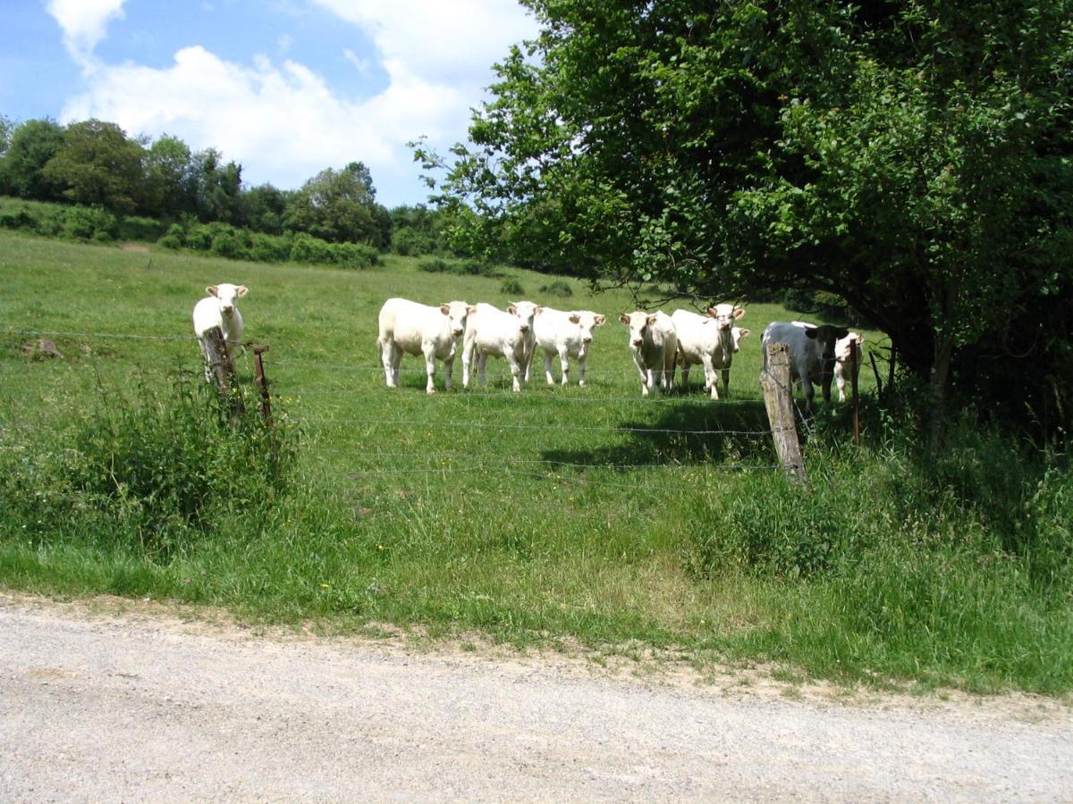 Bed and Breakfast 4 Collines Hagnicourt Exterior foto